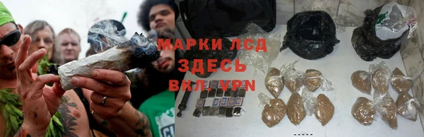 спиды Вязьма