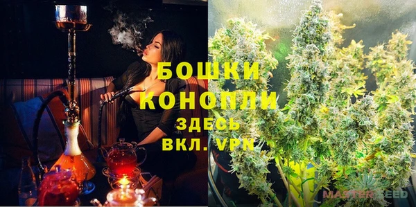 PSILOCYBIN Слюдянка